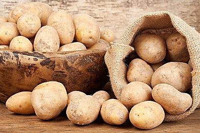 《矮人通天塔》12月1日正式上线，支持简体中文